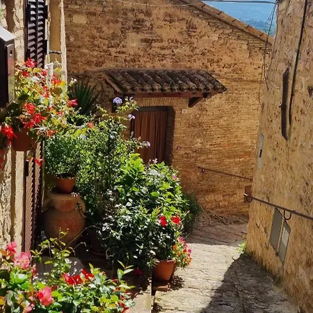 Charme In Nyaraló